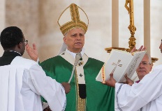 pope leo jubilee of missions